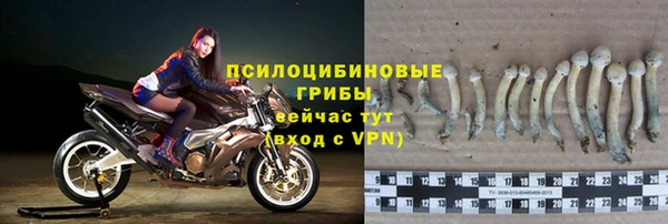 MDMA Premium VHQ Гусиноозёрск