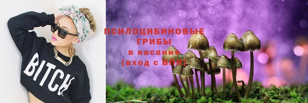 мдпв Гусь-Хрустальный