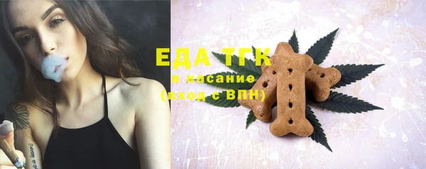 мдпв Гусь-Хрустальный