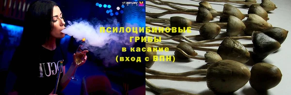 мдпв Гусь-Хрустальный