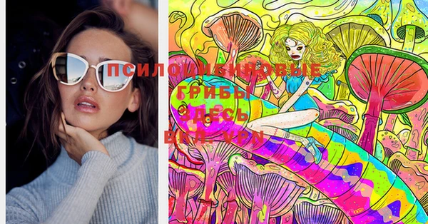 мдпв Гусь-Хрустальный