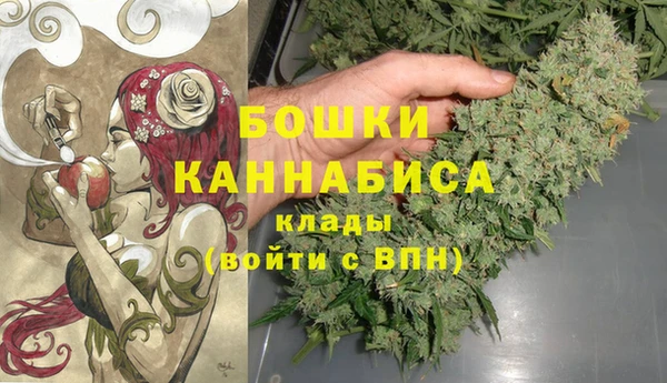 мдпв Гусь-Хрустальный