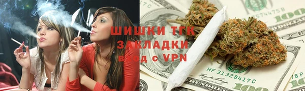 мдпв Гусь-Хрустальный