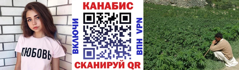 Шишки марихуана ГИДРОПОН  Купить  Дно 