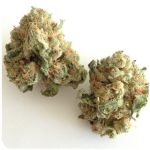 Шишки "White Widow"  (Белая вдова)  Гидропоника -  Бошка VHQ в Дно